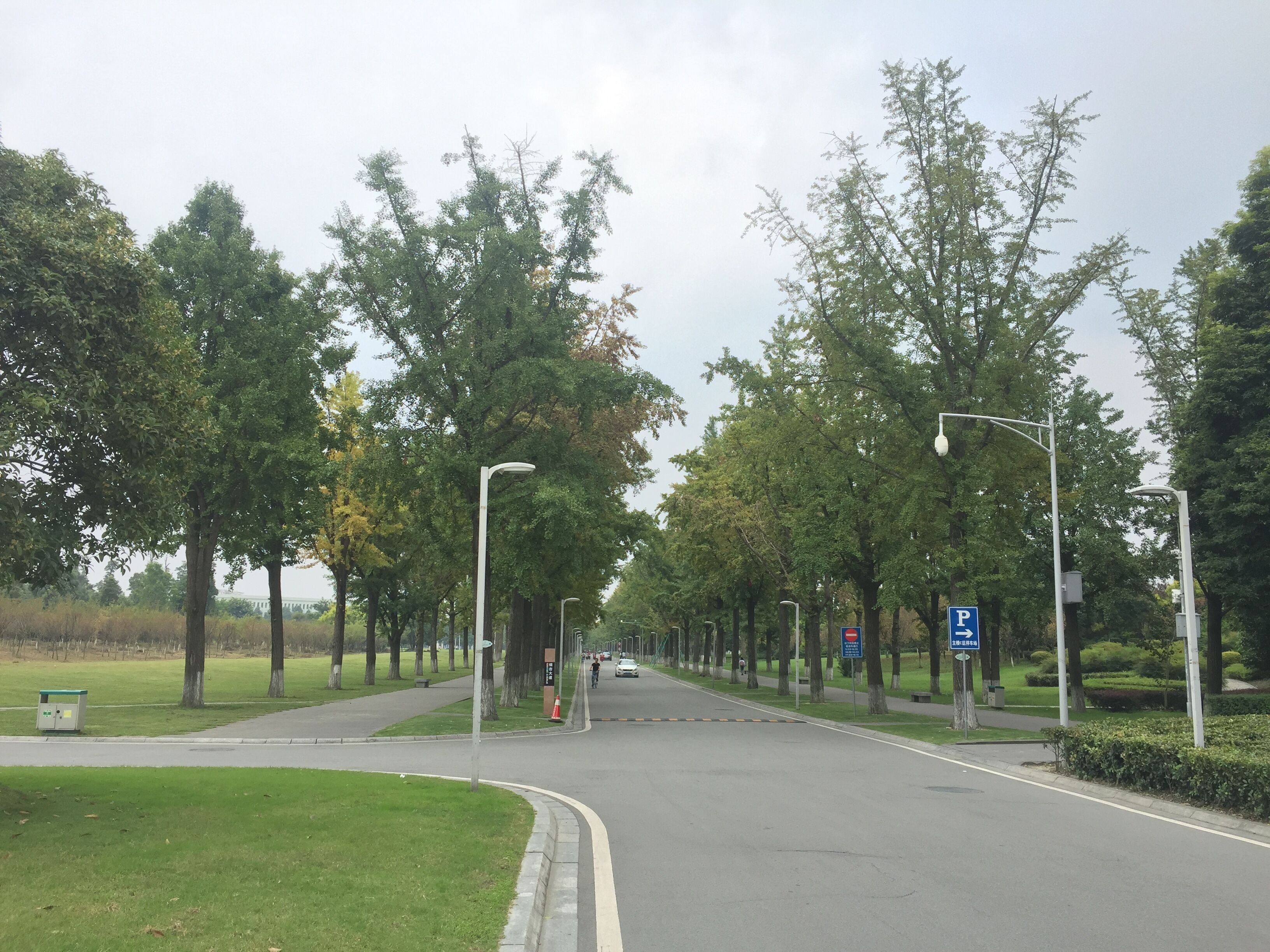 大成園林_園林綠化_綠化工程_園林綠化工程_綠化養(yǎng)護_園林綠化養(yǎng)護_園林綠化公司_成都園林公司_成都綠化公司_成都園林綠化公司_成都園林綠化工程公司_四川園林公司_四川園林綠化工程公司_成都大成志得園林有限公司