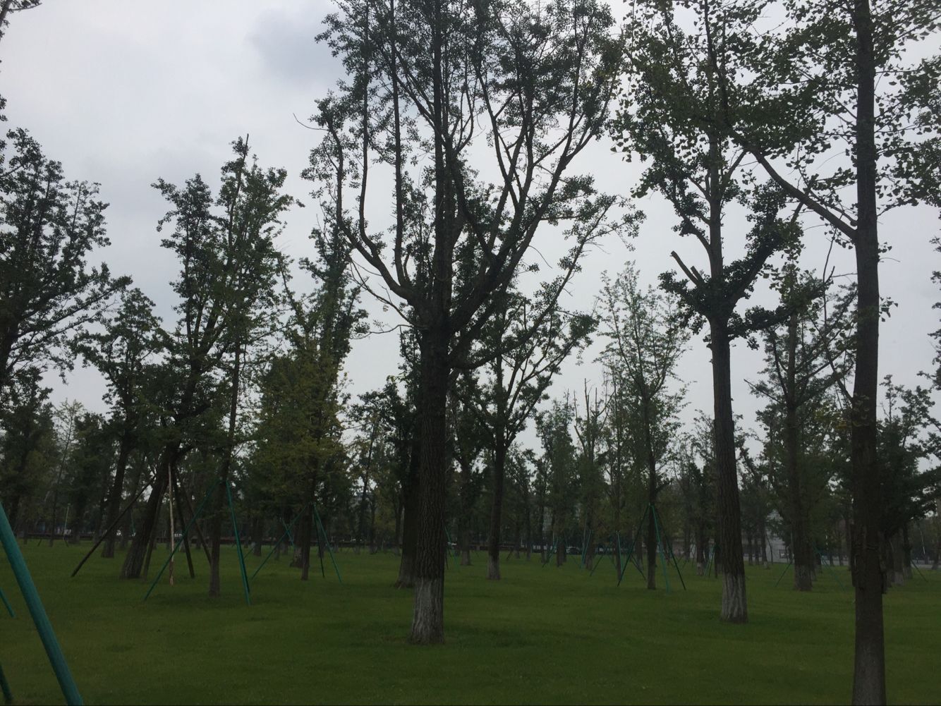 大成園林_園林綠化_綠化工程_園林綠化工程_綠化養(yǎng)護_園林綠化養(yǎng)護_園林綠化公司_成都園林公司_成都綠化公司_成都園林綠化公司_成都園林綠化工程公司_四川園林公司_四川園林綠化工程公司_成都大成志得園林有限公司